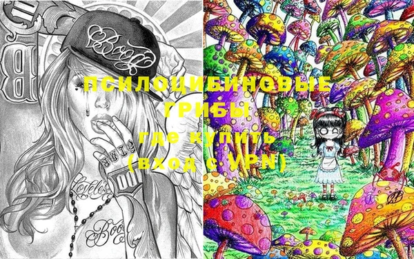 крисы Красноперекопск