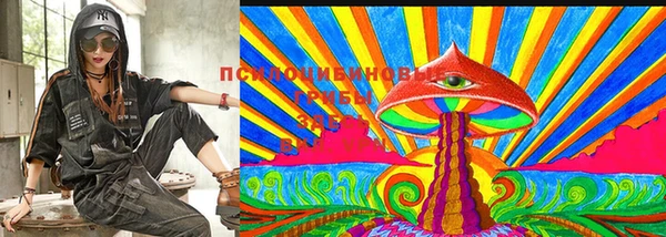 крисы Красноперекопск