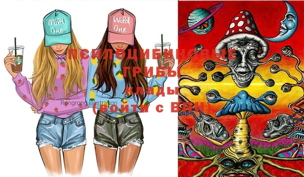 крисы Красноперекопск