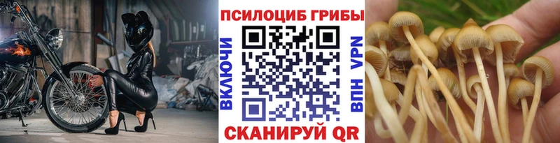 Галлюциногенные грибы Magic Shrooms  Купить закладки  Кызыл 